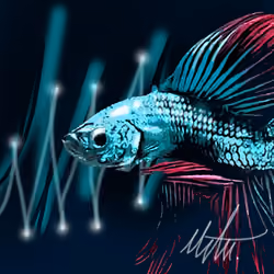 Fighter Fish#1