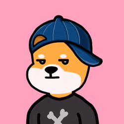 Fabby Shib #81