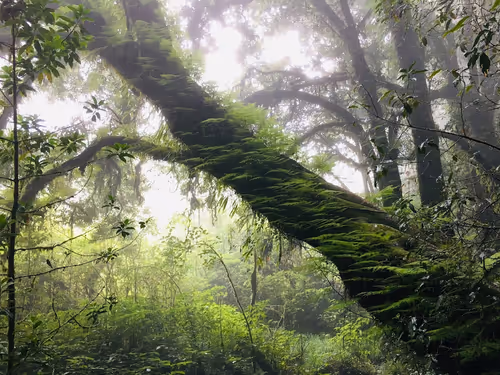 Item #40129036347338487732493830186327944618305484146391989675731997373221778227400 Media