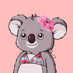 AriZona KoalaTEA Bikini
