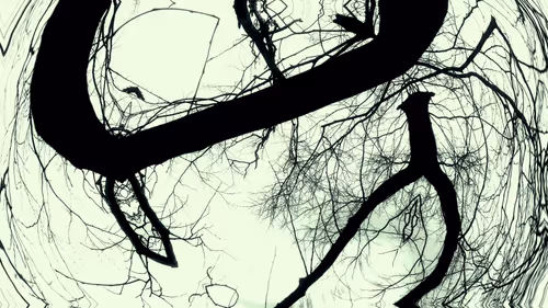 Item #24967146477419090921560663038626653354572651960968859782515528556000170737665 Media