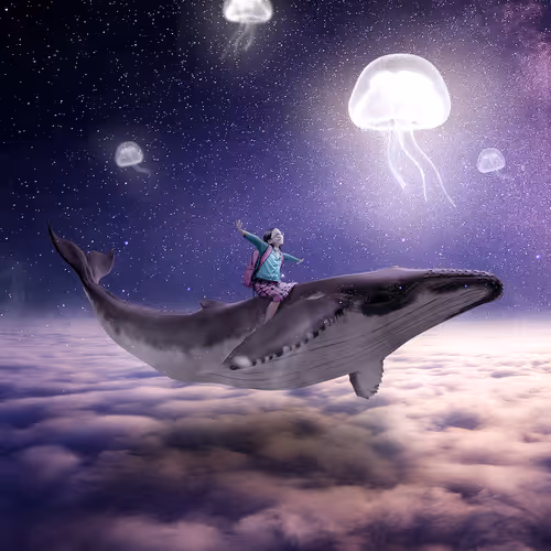 In My Dream