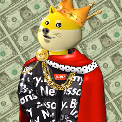 K9 Drip #1