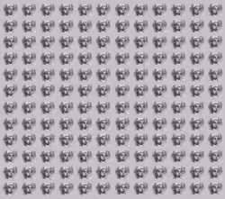 CRYPTO PUNK Pixelporträts BOYs PIC BLACK & WHITE #0335