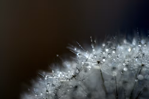 Item #13606181839721576894155883308236999132816604807813273145513526369258456481793 Media