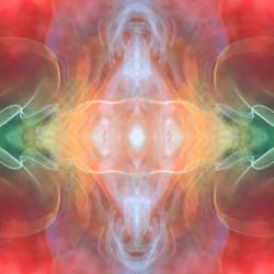 Embryo 