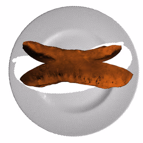 23333466697875174516646510041421218827281761794801465450686785786034834636801