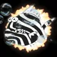 Zebra Fish #05