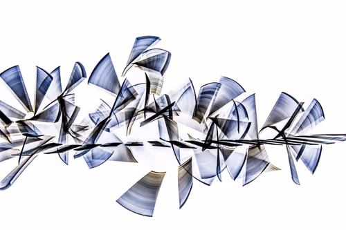 Item #105712661906430751143545401242155479756869697373743056190444192185787650932737 Media