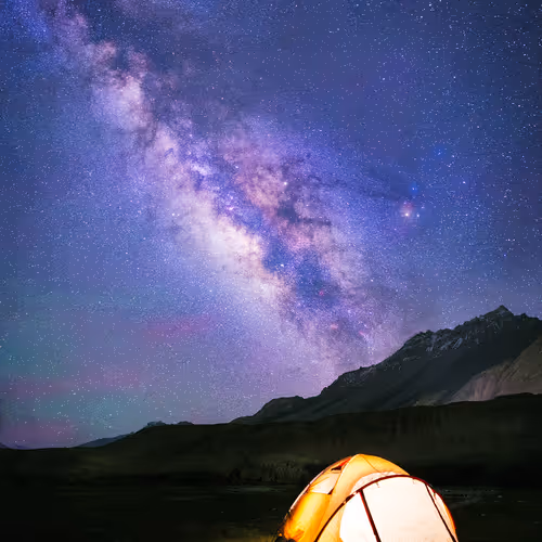 The Starry Nights