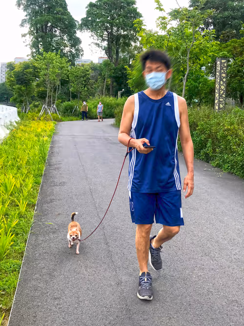 Item #15302775719274355672256911249162138837258661550744590229590932630575853338625 Media