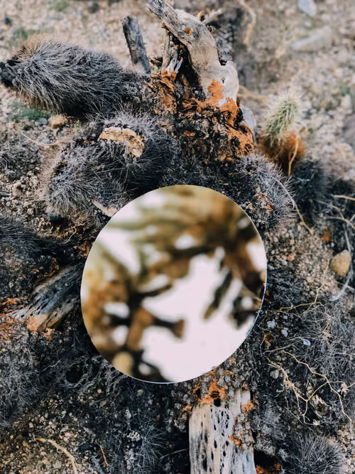 Item #57762364176817967113171601073029693715044262343455038936380107508046071070721 Media