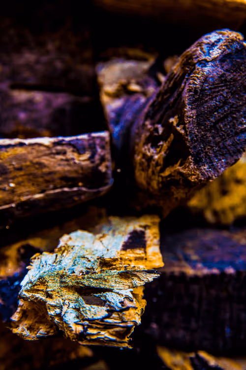 Item #40632996133042654692589824603650500763499961417471040253403769845770348396564 Media