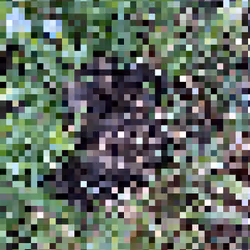 2850415134272365380187775685678842410458265265709128331682257484285537681409