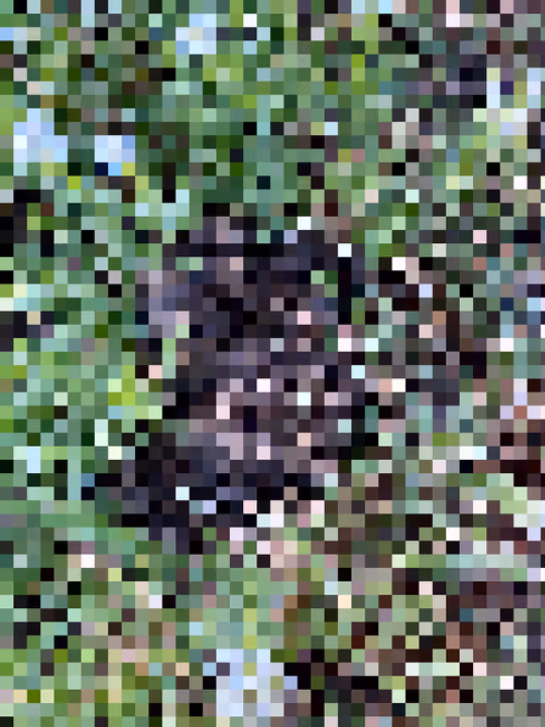 Item #2850415134272365380187775685678842410458265265709128331682257484285537681409 Media