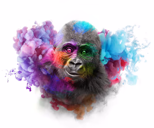 Item #59088353916634911645199901135540098457890710800918991321684793798683533508609 Media