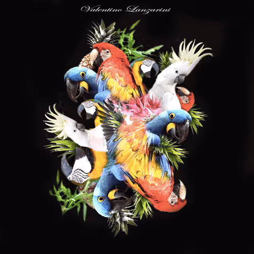 Item #56282249917064445733728690309876898711724283303650071276908846563316197228545 Media