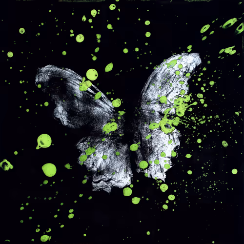 Item #31878015786887625449379653420806268900262982390960709769222713631101534863361 Media