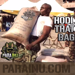 84267802290559942954088594584353939466435851808707392301287009220596126973953