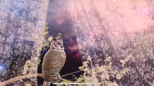 Item #50338222611613121189106458856874831562888891233006971959911790434721594343425 Media