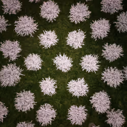 100600280271040798317723628260513137156606623100883316454227272180443314651137