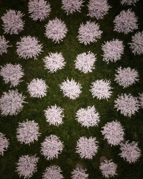 Item #100600280271040798317723628260513137156606623100883316454227272180443314651137 Media