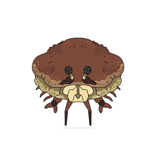 111428878727650123514080126697459375068995373451385908325618104767212739887105