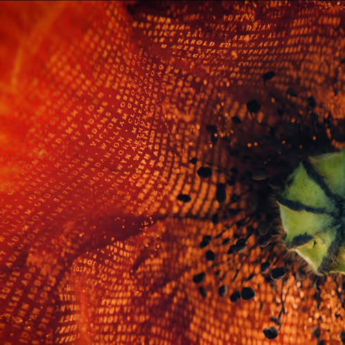 Item #54146082010400626142033190626811009624551032097677302424069293426682919649290 Media