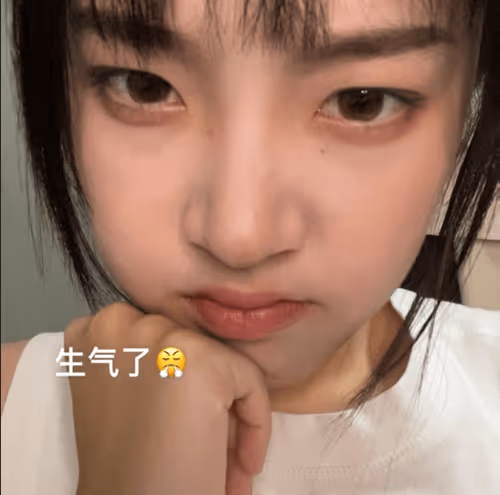 生气猫😠