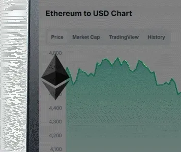 kinessisk Collection