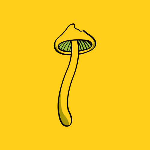 Trippachu's Yellow Shroom