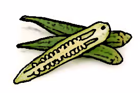 Item #34666895870601966959428909364201480816502352968282215999761892548629369978881 Media