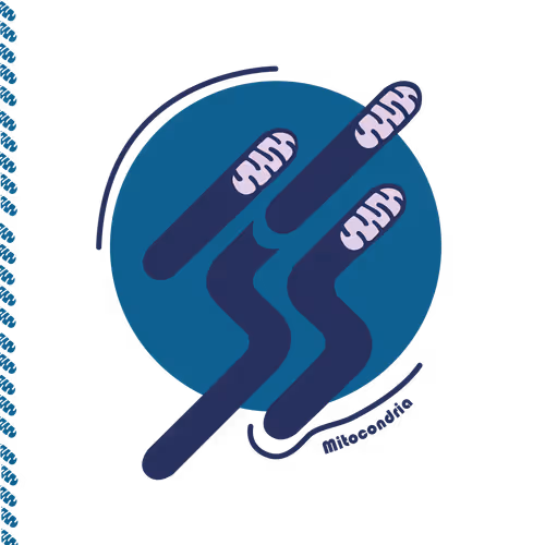 Item #28217420329942861487200254143315689988869562790284857015817128395298089992193 Media