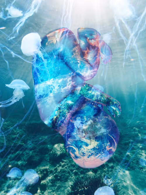 Item #49004350422641323964216046610938913056030361365335976996740690318726124273665 Media