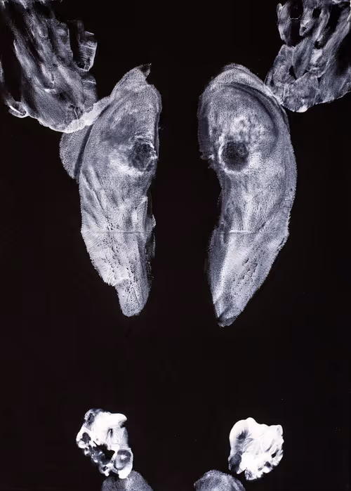 Item #87233357616789786932784305641049397886387099936687300781844862249768920809473 Media