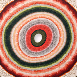 72096531143078581129553343014361188465748727759240964250329126924104534851585