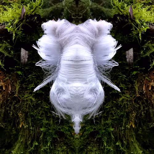 SOMEWHERE IN SPACETIME #28/33