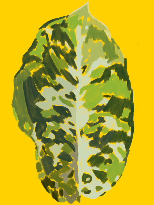 Item #1558415611179908157825303263242469701105958003249245582265085153104424337409 Media