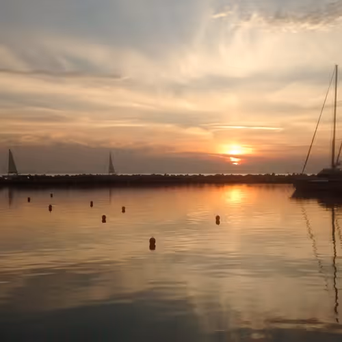 Untitled Collection #78351244