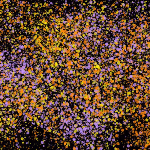 944858660688572096584618472555991747686703840338442188877309512599570743297