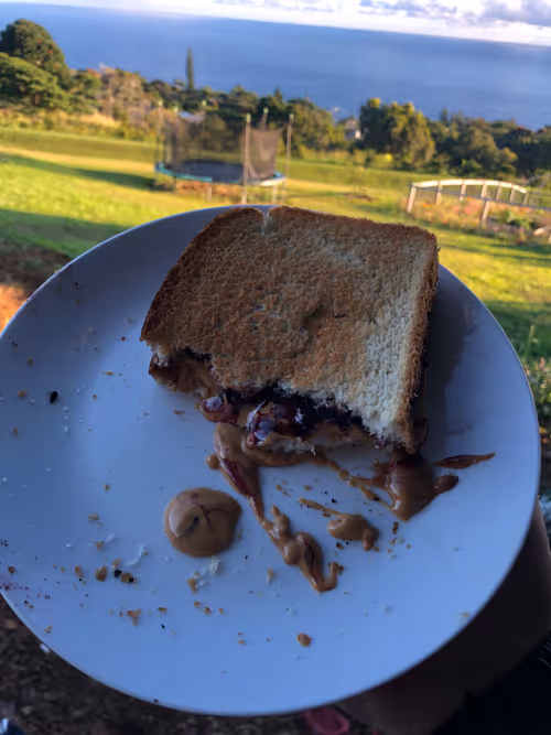 Item #111384347419130010131898734196272882001680551158239169533315207247097644449793 Media