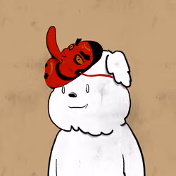 506
