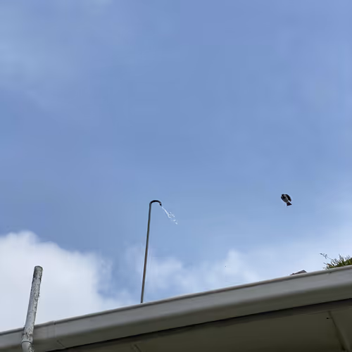 Untitled Collection #43080230