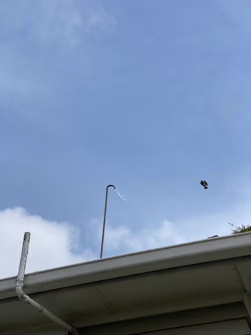 Item #70313677311520880863981943540127898838385811246618550726058987244615471464449 Media