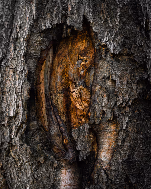 Item #92025450797269199699519638407999947828010124563072321716364901885856444317697 Media