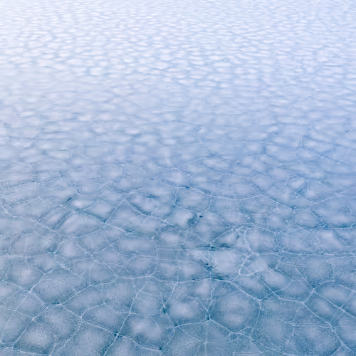 Item #55403408665547609189092792610750107765895786822855229620827418978946180448257 Media