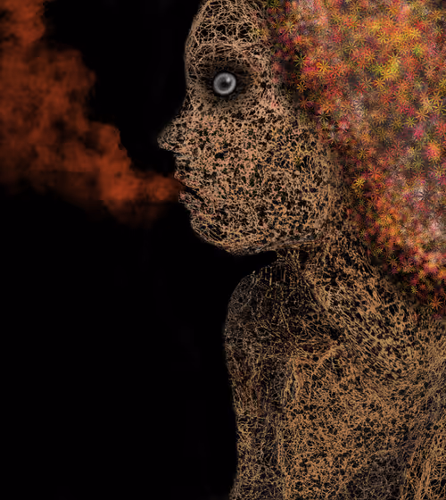 Item #98809468674811488509184540902810319847811654412696207403112480007685494800385 Media