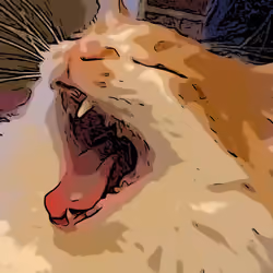Shitty Kitty #10 - Scream