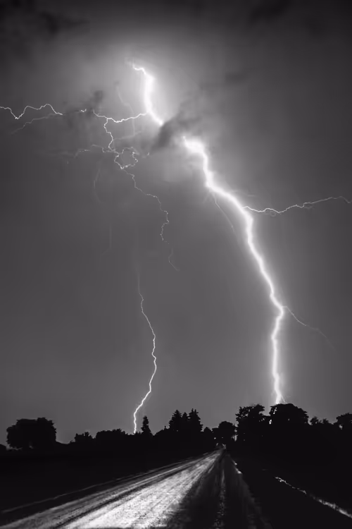 Item #76753609557618040316569819233018688954602367077882329360874187551115667570689 Media