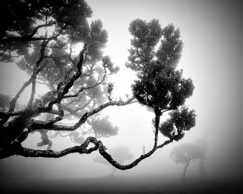 Item #46448320690235251329430811416754344806900568811050689934660167666649119326209 Media